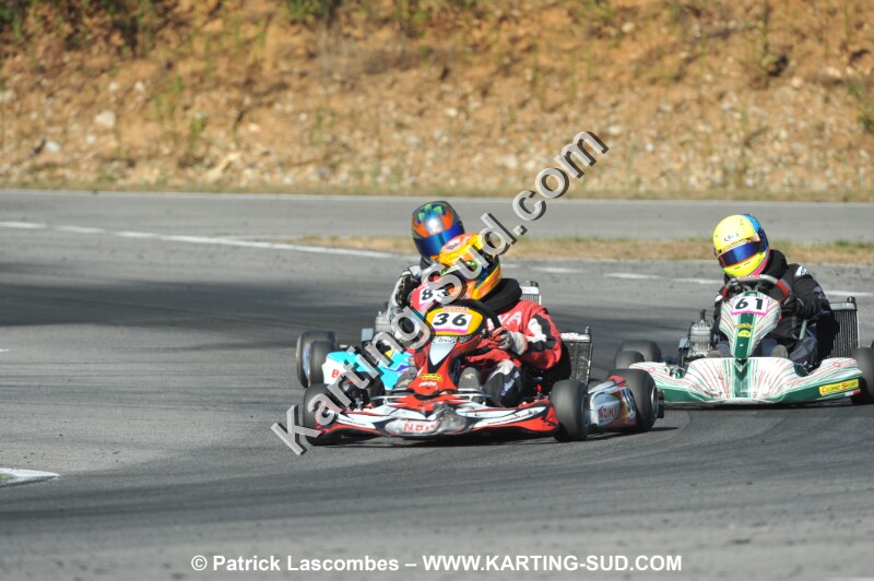 DSC_ (1170).JPG